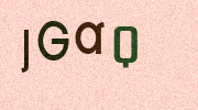 Visual Confirmation Security Code