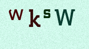 Visual Confirmation Security Code
