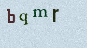 Visual Confirmation Security Code
