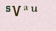 Visual Confirmation Security Code