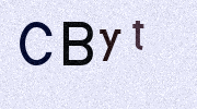 Visual Confirmation Security Code