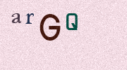 Visual Confirmation Security Code
