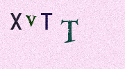 Visual Confirmation Security Code