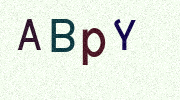 Visual Confirmation Security Code