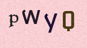 Visual Confirmation Security Code