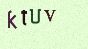 Visual Confirmation Security Code