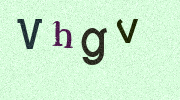 Visual Confirmation Security Code