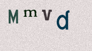 Visual Confirmation Security Code