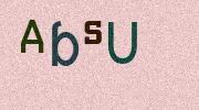 Visual Confirmation Security Code