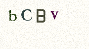 Visual Confirmation Security Code