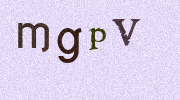 Visual Confirmation Security Code