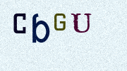 Visual Confirmation Security Code
