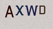 Visual Confirmation Security Code