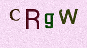 Visual Confirmation Security Code