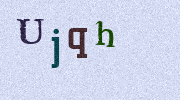 Visual Confirmation Security Code