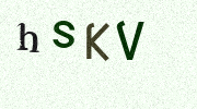 Visual Confirmation Security Code
