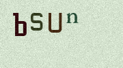 Visual Confirmation Security Code