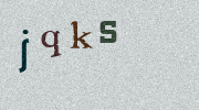 Visual Confirmation Security Code