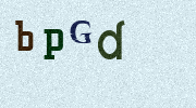 Visual Confirmation Security Code