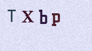Visual Confirmation Security Code