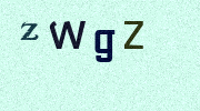 Visual Confirmation Security Code