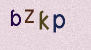 Visual Confirmation Security Code