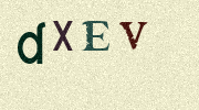 Visual Confirmation Security Code