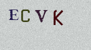 Visual Confirmation Security Code