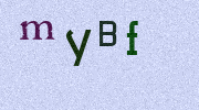 Visual Confirmation Security Code