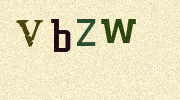 Visual Confirmation Security Code