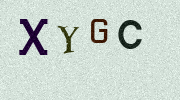 Visual Confirmation Security Code