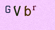 Visual Confirmation Security Code
