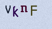 Visual Confirmation Security Code