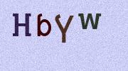 Visual Confirmation Security Code