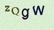 Visual Confirmation Security Code
