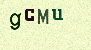 Visual Confirmation Security Code