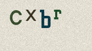 Visual Confirmation Security Code
