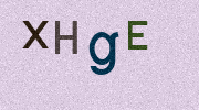 Visual Confirmation Security Code