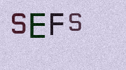 Visual Confirmation Security Code