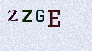 Visual Confirmation Security Code