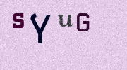 Visual Confirmation Security Code