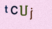 Visual Confirmation Security Code