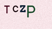 Visual Confirmation Security Code