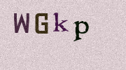 Visual Confirmation Security Code