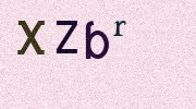 Visual Confirmation Security Code