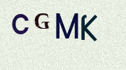 Visual Confirmation Security Code