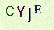 Visual Confirmation Security Code