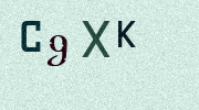 Visual Confirmation Security Code