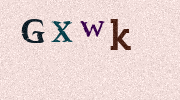 Visual Confirmation Security Code