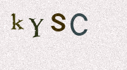 Visual Confirmation Security Code